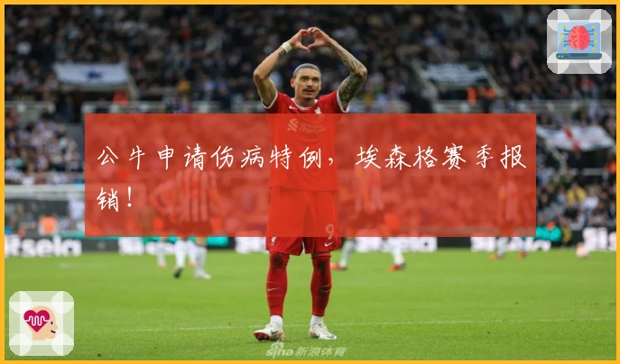 公牛申请伤病特例，埃森格赛季报销！